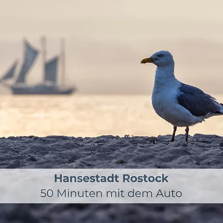 Natürlich Am Bodden