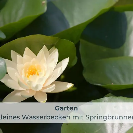 Ferienhaus Natürlich Am Bodden *